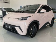 BYD Seagull Flying Edition - ფოტო 11