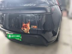 Tesla Model Y Rear-Wheel Drive - ფოტო 4