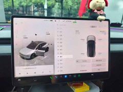 Tesla Model Y Rear-Wheel Drive - ფოტო 7