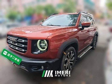 2021 Great Wall Dachshund 1.5T DCT Two-Wheel Drive Border Collie Edition - ავტომობილი ჩინეთიდან