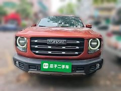 Great Wall Dachshund 1.5T DCT Two-Wheel Drive Border Collie Edition - ფოტო 2