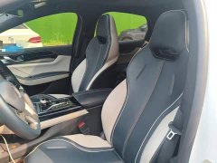 BYD Qin PLUS 2021 EV 500KM Luxury - ფოტო 11