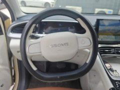 Geely Starwish 410km Freedom Edition - ფოტო 15