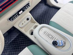 ORA Good Cat 2025 430km Deluxe Edition - ფოტო 13