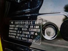 Tank 300 2023 Off-Road Edition 2.0T Conqueror - ფოტო 19