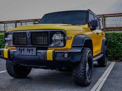 Tank 300 2023 Off-Road Edition 2.0T Conqueror - ფოტო 3