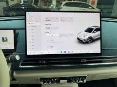 ORA Good Cat 2025 430km Deluxe Edition - ფოტო 11