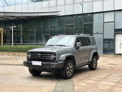 Tank 300 2021 City Edition 2.0T Stylish - ფოტო 1