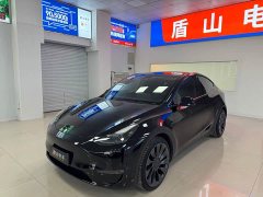 Tesla Model Y Performance All-Wheel Drive - ფოტო 1
