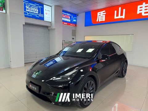 2021 Tesla Model Y Performance All-Wheel Drive - ავტომობილი ჩინეთიდან