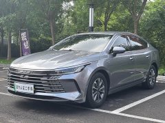 BYD Destroyer 05 Glory Edition DM-i 55KM Luxury - ფოტო 1