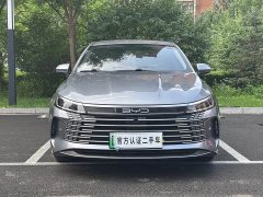 BYD Destroyer 05 Glory Edition DM-i 55KM Luxury - ფოტო 2