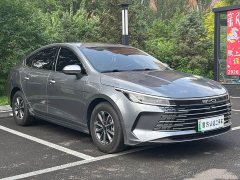 BYD Destroyer 05 Glory Edition DM-i 55KM Luxury - ფოტო 3