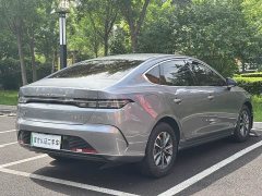 BYD Destroyer 05 Glory Edition DM-i 55KM Luxury - ფოტო 4
