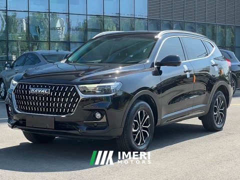 2025 Haval H6 2023 National Trend Edition 1.5T Automatic Urban Version - ავტომობილი ჩინეთიდან