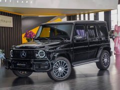 Mercedes-Benz G-Class 2020 G 350 d - ფოტო 1