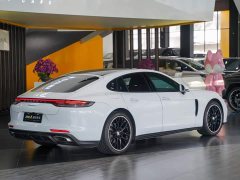 Porsche 2021 Panamera 2.9T - ფოტო 19