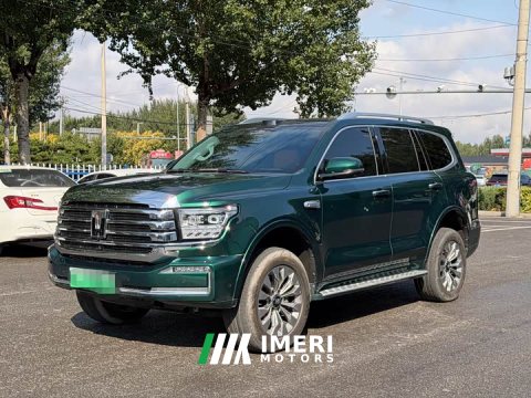 2025 Tank 500 New Energy Hi4-Z - ავტომობილი ჩინეთიდან