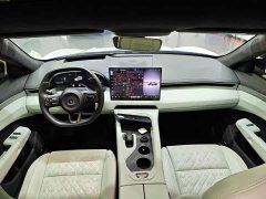 Zeekr 001 ME Edition 100kWh AWD - ფოტო 5