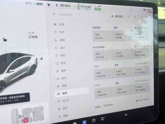 Tesla Model 3 Standard Range RWD Upgrade 3D6 - ფოტო 11