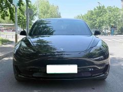 Tesla Model 3 Standard Range RWD Upgrade 3D6 - ფოტო 2