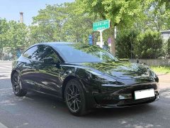 Tesla Model 3 Standard Range RWD Upgrade 3D6 - ფოტო 3