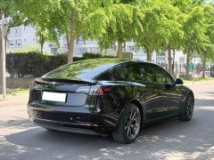 Tesla Model 3 Standard Range RWD Upgrade 3D6 - ფოტო 4