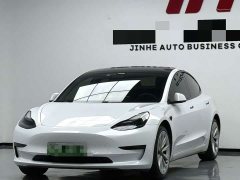 Tesla Model 3 Standard Range RWD Upgrade - ფოტო 1