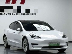 Tesla Model 3 Standard Range RWD Upgrade - ფოტო 3