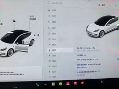 Tesla Model 3 Standard Range RWD Upgrade - ფოტო 7