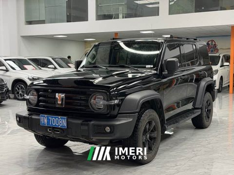 2024 Tank 300 2.0T Conqueror - ავტომობილი ჩინეთიდან