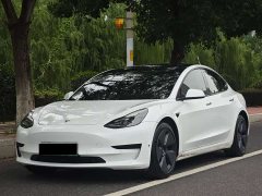Tesla Model 3 Standard Range RWD Upgrade 3D6 - ფოტო 1