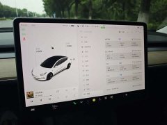 Tesla Model 3 Standard Range RWD Upgrade 3D6 - ფოტო 11