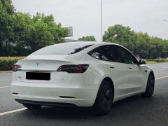 Tesla Model 3 Standard Range RWD Upgrade 3D6 - ფოტო 13