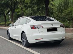 Tesla Model 3 Standard Range RWD Upgrade 3D6 - ფოტო 14