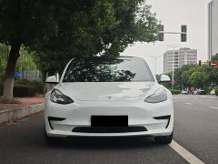 Tesla Model 3 Standard Range RWD Upgrade 3D6 - ფოტო 3