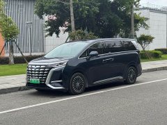 Denza BYD Denza D9 DM-i 980 Four-Wheel Drive Flagship - ფოტო 1
