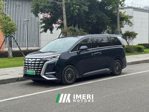 2024 Denza BYD Denza D9 DM-i 980 Four-Wheel Drive Flagship - ავტომობილი ჩინეთიდან