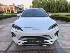 BYD Song Plus New Energy 2025 DM-i 112KM Luxury Edition - ფოტო 1