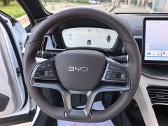 BYD Song Plus New Energy 2025 DM-i 112KM Luxury Edition - ფოტო 16