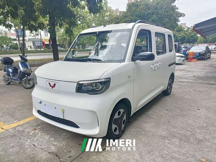 Wuling Zhiguang New Energy 305km Aspiring Edition