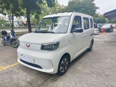 Wuling Zhiguang New Energy 2025 305km Aspiring Edition - ფოტო 1