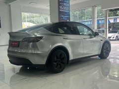 Tesla Model Y Long Range All-Wheel Drive - ფოტო 14