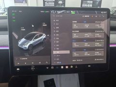 Tesla Model Y Long Range All-Wheel Drive - ფოტო 7
