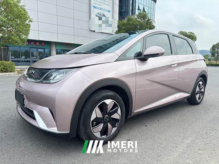 BYD Dolphin Glory Edition 420km Fashion Version - ავტომობილი ჩინეთიდან