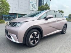 BYD Dolphin Glory Edition 420km Fashion Version - ფოტო 1