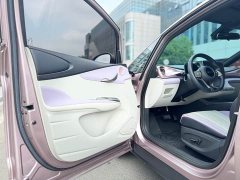 BYD Dolphin Glory Edition 420km Fashion Version - ფოტო 15