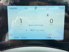 BYD Dolphin Glory Edition 420km Fashion Version - ფოტო 16