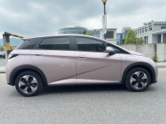 BYD Dolphin Glory Edition 420km Fashion Version - ფოტო 17