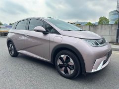 BYD Dolphin Glory Edition 420km Fashion Version - ფოტო 3